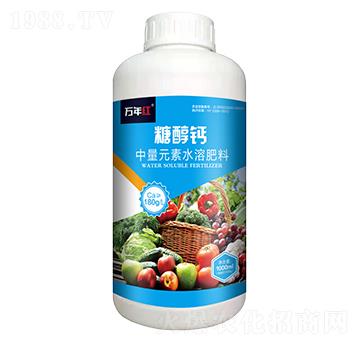 1000mlǴ}-f(wn)t-Z\(chng)