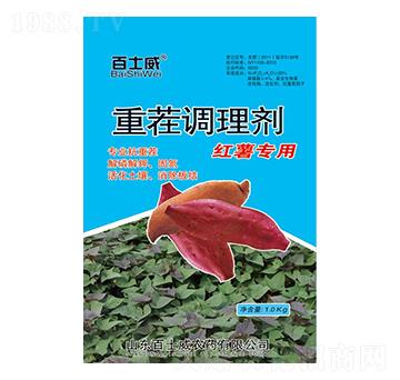 t팣(zhun)ز{(dio)턩-ʿ