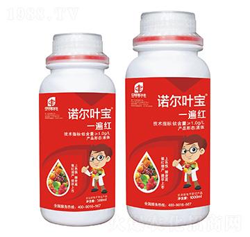 諾爾葉寶一遍紅-諾爾豐