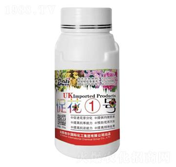 ٻ1̖(ho)-Ӣ-տ