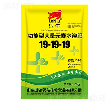 ʹԪˮܷ19-19-19-(l)ţ-\(chng)I(lng)