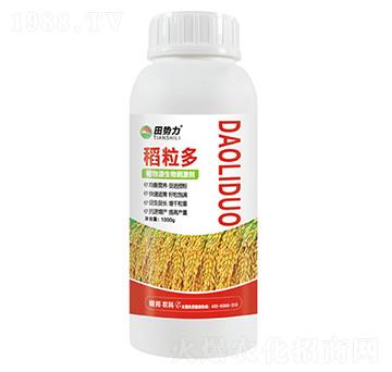 稻粒多-植物源生物刺激劑-田勢(shì)力-碩邦農(nóng)業(yè)