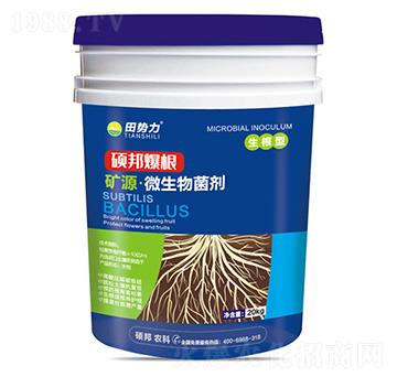 碩邦爆根-礦源·微生物菌劑-田勢(shì)力-碩邦農(nóng)業(yè)