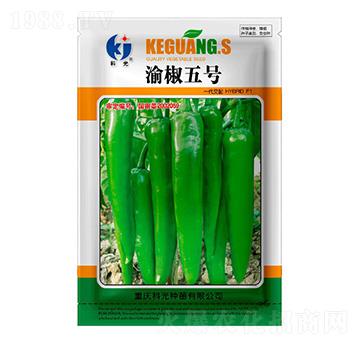 彷5̖-ƹN