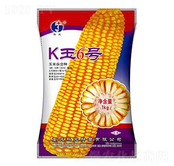 K6̖-ƹN