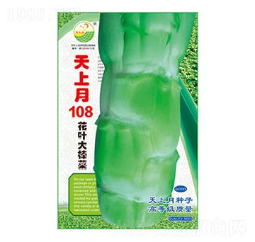 ˷N-108-̫NI(y)