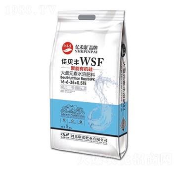 聚能有機(jī)硅大量元素水溶肥料16-6-38+0.5TE-億禾康-康諾肥業(yè)