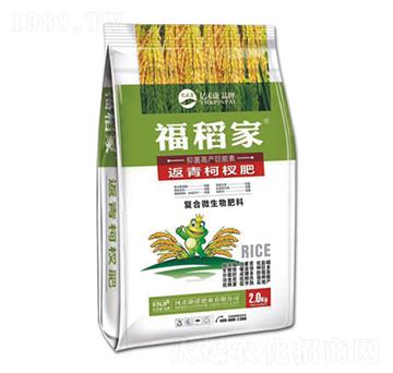 辷--ZʘI(y)