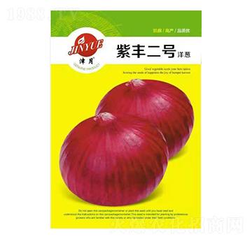 洋蔥種子-紫豐2號(hào)-邯豐農(nóng)業(yè)