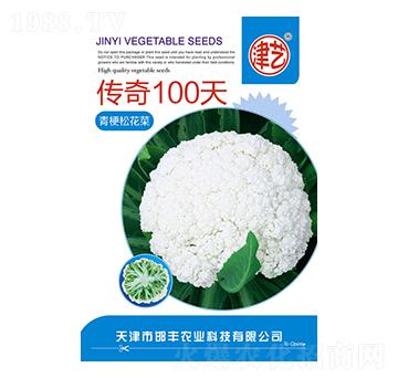 花菜種子-傳奇100天-邯豐農(nóng)業(yè)