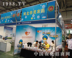 2011BTֲ(hu)ͺӱA`r(nng)ˎ(sh)F(xin)vw