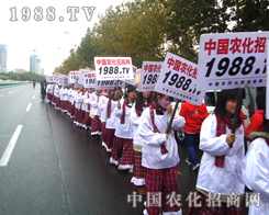 ҊC1988.TV(sh)(qing)(sh)