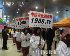1988.TV(zhn)(hu)(chng)o(w)ֹ