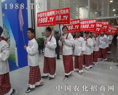 2013(j)ֲ̎ǡСꖡ