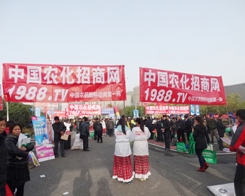 2013ֲչЧǵf