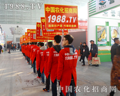 1988.TVˆTwP(yng)