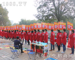 1988.TV2016(j)ֲו(hu)ϱF(xin)ͻ׷҂x