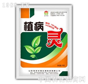 A(qing)-ֲ`