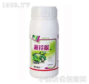 A(qing)-