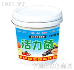 A(qing)-