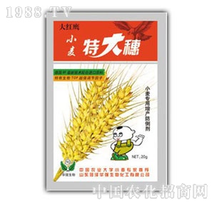 A(qing)-Сش