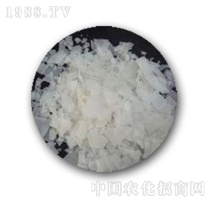 кW(xu)-99xĤƬ