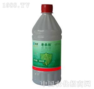A-25%x(chng)pASϚp