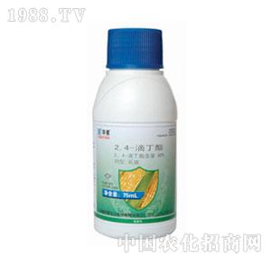 A-80%24ζEC