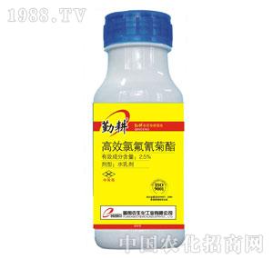 ʿ-2.5%ȷˮ